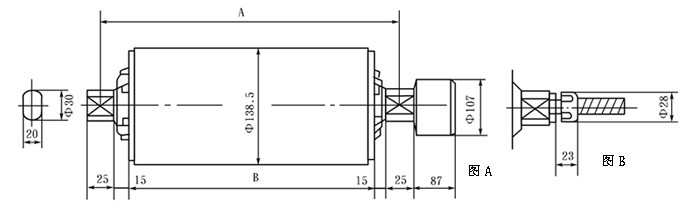 TJ型電動(dòng)滾筒