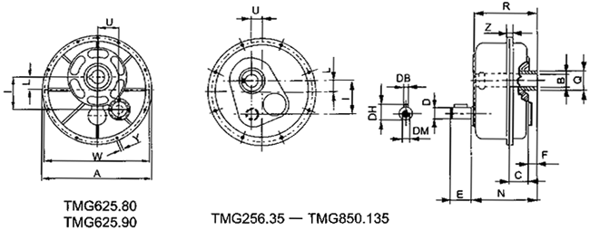 TMG懸掛式齒輪減速機(jī)