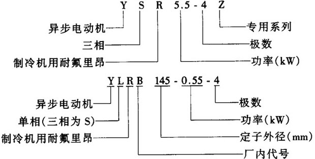 YSR-Z系列制冷機(jī)用耐氟三相異步電動機(jī)結(jié)構(gòu)簡介及特點(diǎn)